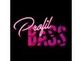 Détails : Profil Bass Webzine
