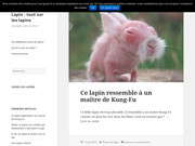 Détails : site sur les lapins