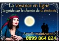 Détails : Voyance gratuite en ligne 0899 864 824