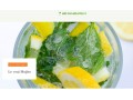 Détails : Tout savoir sur le mojito