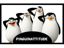 Pinguinattitude Infolites